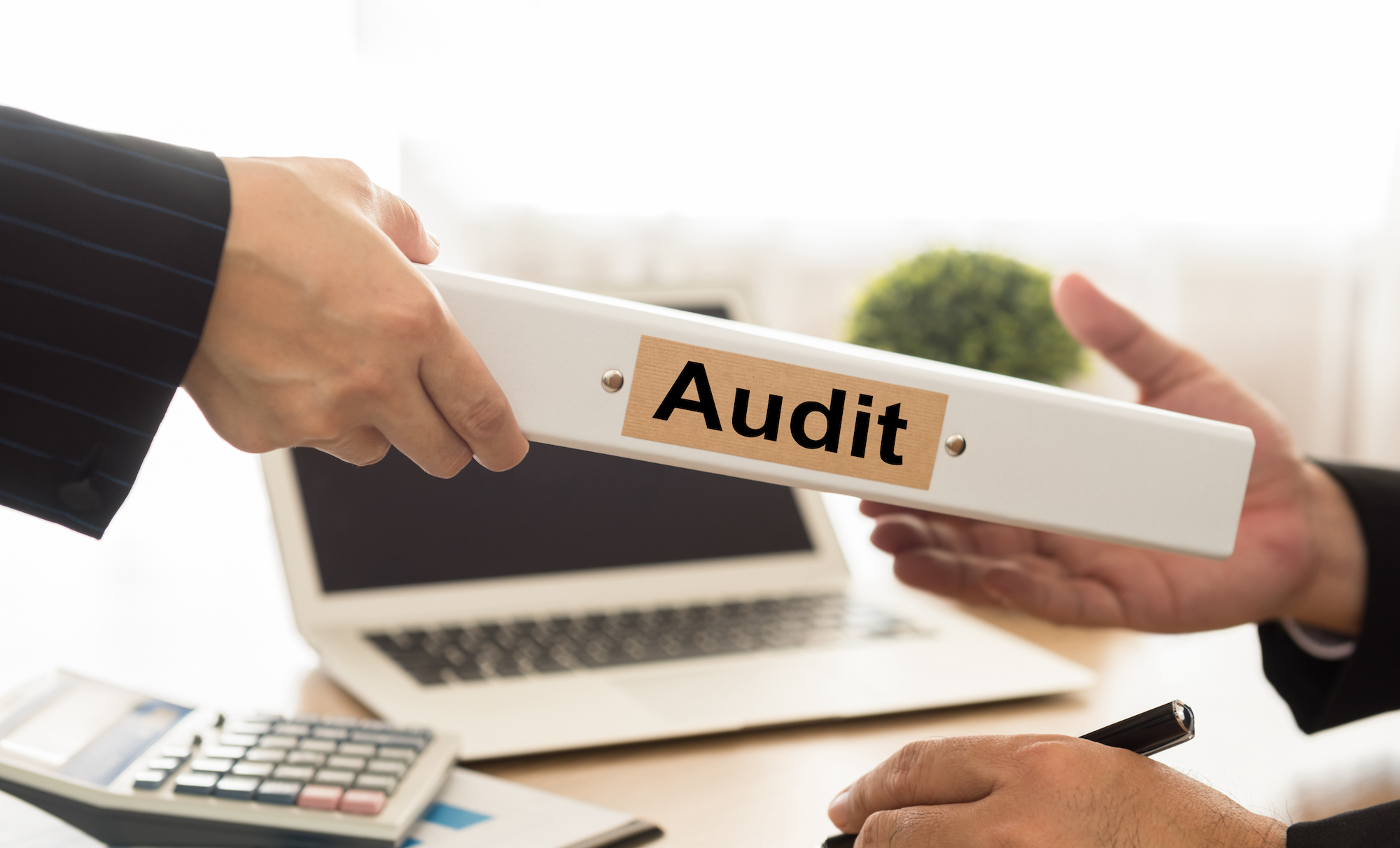 A book labeled "Audit"