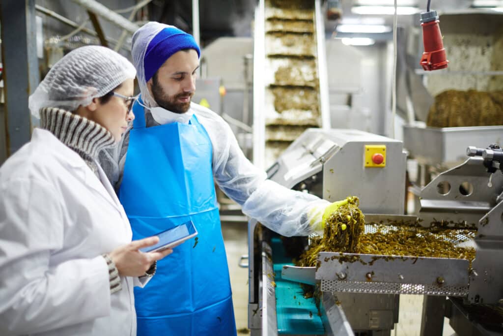 Young,Food,Control,Experts,Consulting,While,Estimating,Quality,Of,Seaweed