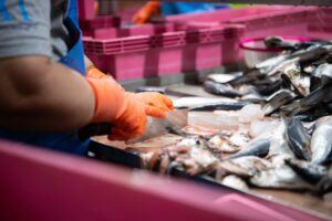 Food Process And Production